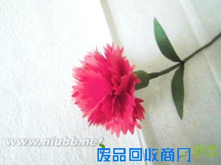 母亲节手揉纸康乃馨手工纸艺花制作教程[附康乃馨花语]_手工制作康乃馨