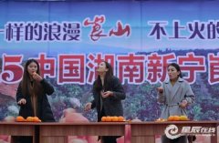 湖南新宁30万亩脐橙丰收 上演美女采摘吸游客(组图)