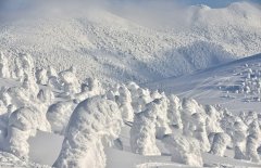 日本摄影师捕捉“天然雪人”奇景(1)